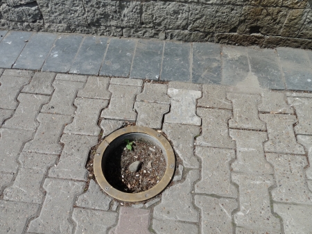 ������������� ��������� �������� ����������� ��������